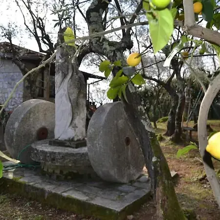 Villa Rita Punta Bianca *